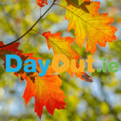 Top 10 Free Days Out in Ireland