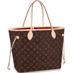 Louis Vuitton Bag -  Ireland