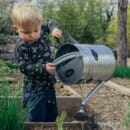 Win a Free Gardening Kit