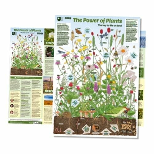 Free Green Planet Poster from The Open University