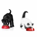 Free Royal Canin Voucher Worth €6