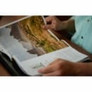 Free The Silver Traveller Magazine