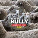 Free Anti-Wool Stickers from PETA