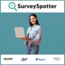 Earn Up To €300 Per Month By Taking Surveys