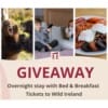 Win a Hotel Stay & Wild Ireland Sanctuary Pass