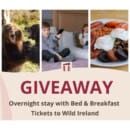 Win a Hotel Stay & Wild Ireland Sanctuary Pass