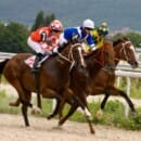 Win a VIP Horse Racing Experience